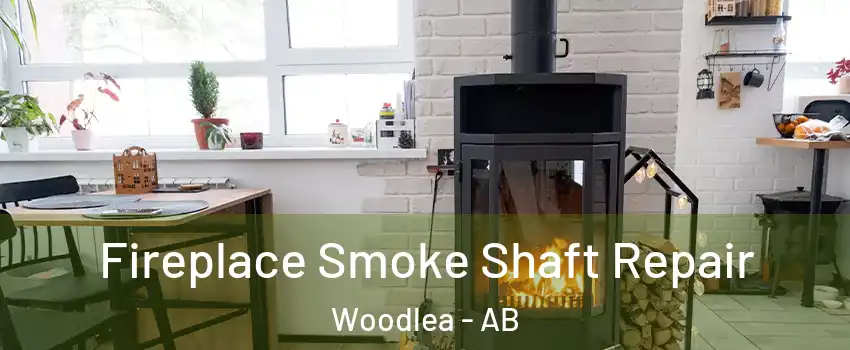 Fireplace Smoke Shaft Repair Woodlea - AB