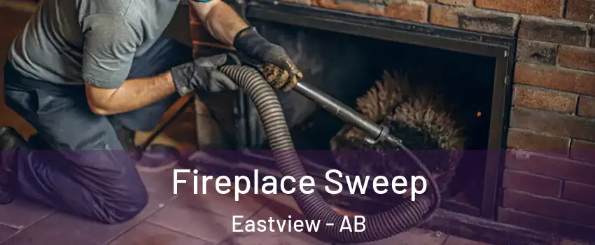 Fireplace Sweep Eastview - AB
