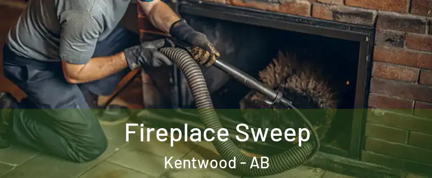  Fireplace Sweep Kentwood - AB
