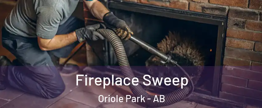 Fireplace Sweep Oriole Park - AB