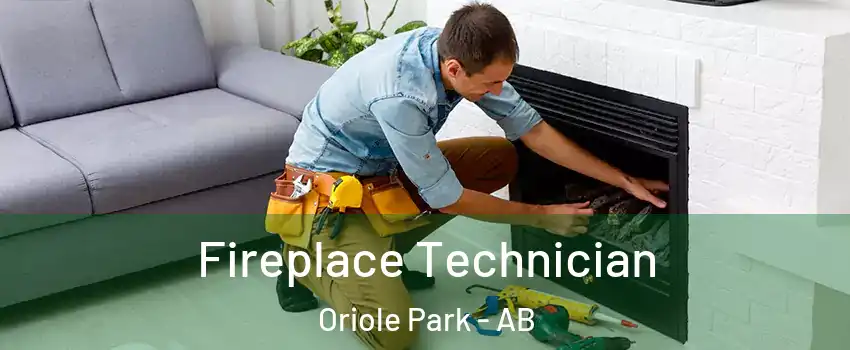 Fireplace Technician Oriole Park - AB
