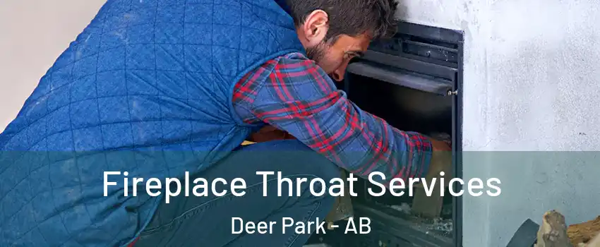  Fireplace Throat Services Deer Park - AB