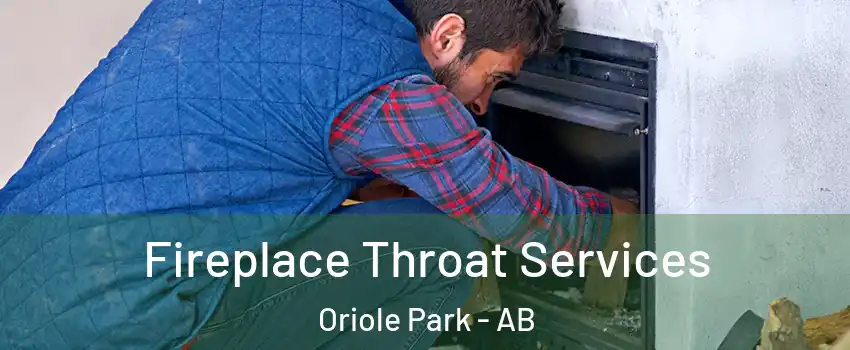 Fireplace Throat Services Oriole Park - AB