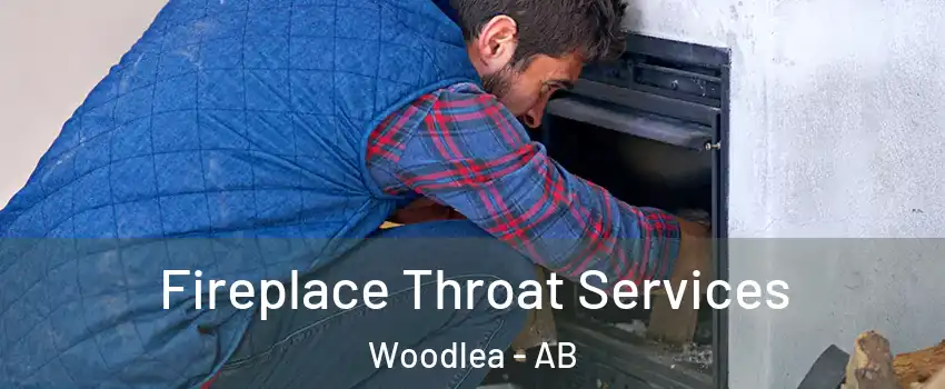 Fireplace Throat Services Woodlea - AB