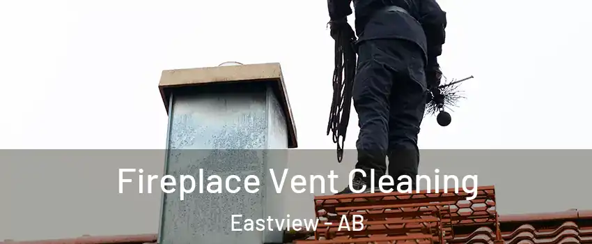 Fireplace Vent Cleaning Eastview - AB