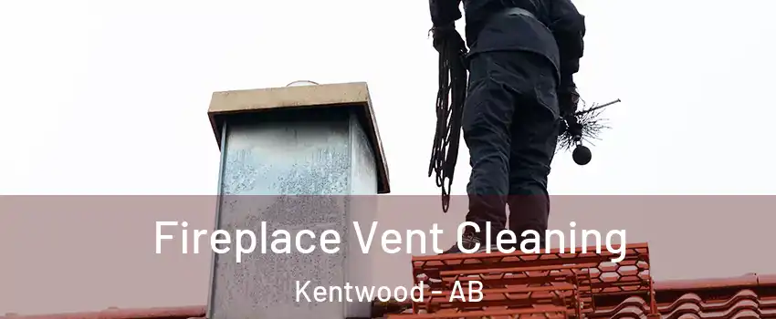 Fireplace Vent Cleaning Kentwood - AB