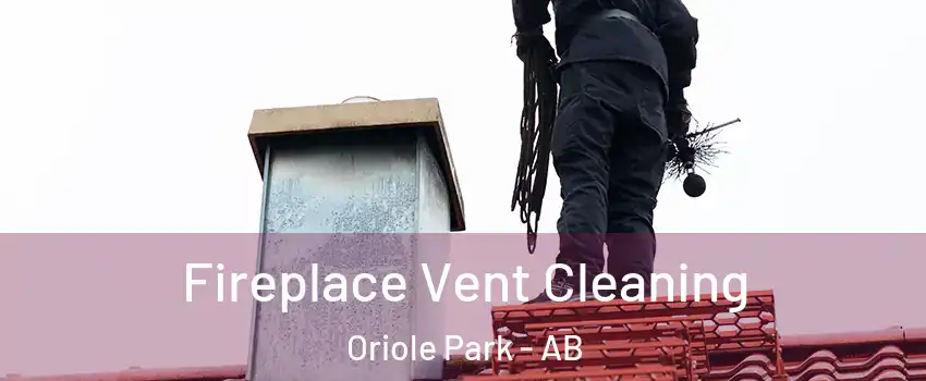 Fireplace Vent Cleaning Oriole Park - AB