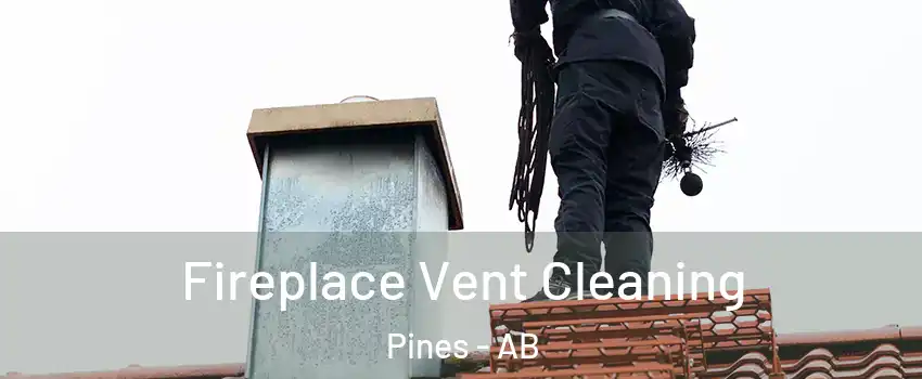 Fireplace Vent Cleaning Pines - AB