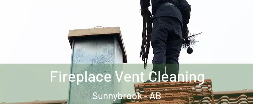  Fireplace Vent Cleaning Sunnybrook - AB
