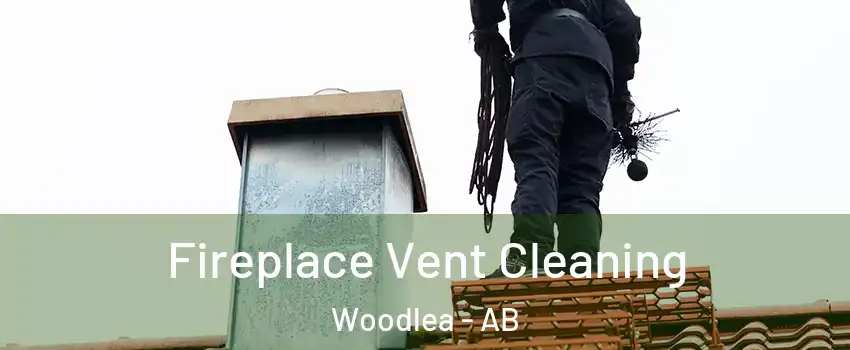 Fireplace Vent Cleaning Woodlea - AB