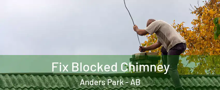 Fix Blocked Chimney Anders Park - AB
