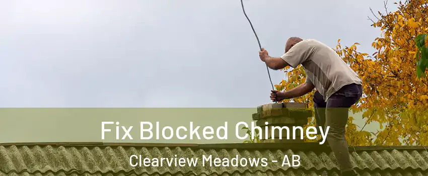 Fix Blocked Chimney Clearview Meadows - AB