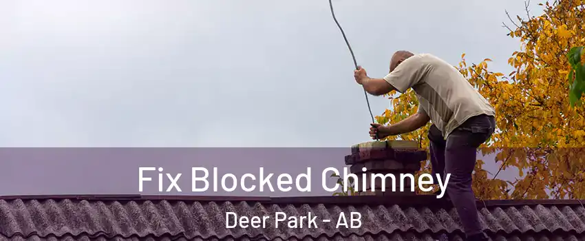  Fix Blocked Chimney Deer Park - AB