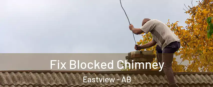 Fix Blocked Chimney Eastview - AB