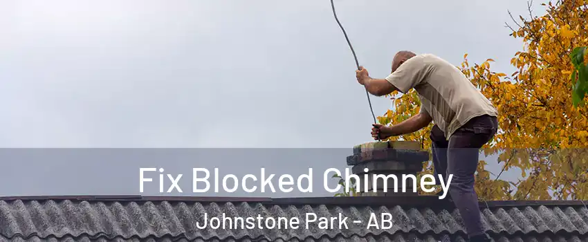  Fix Blocked Chimney Johnstone Park - AB