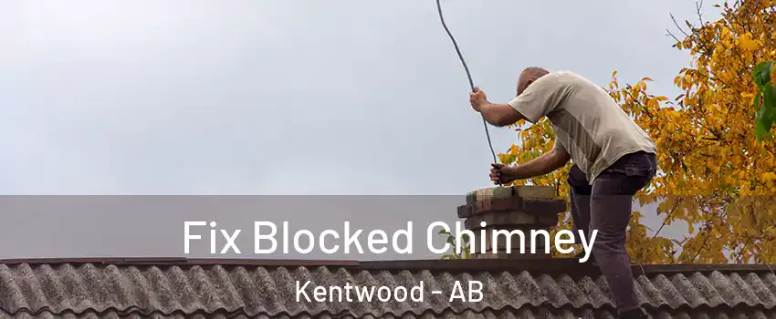 Fix Blocked Chimney Kentwood - AB
