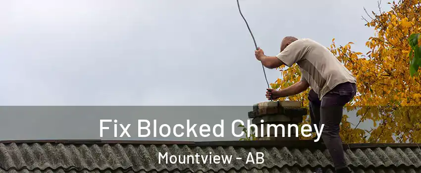 Fix Blocked Chimney Mountview - AB