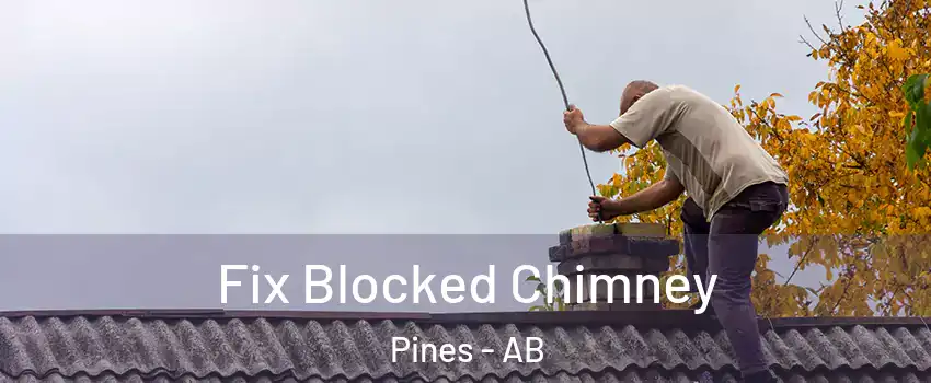 Fix Blocked Chimney Pines - AB