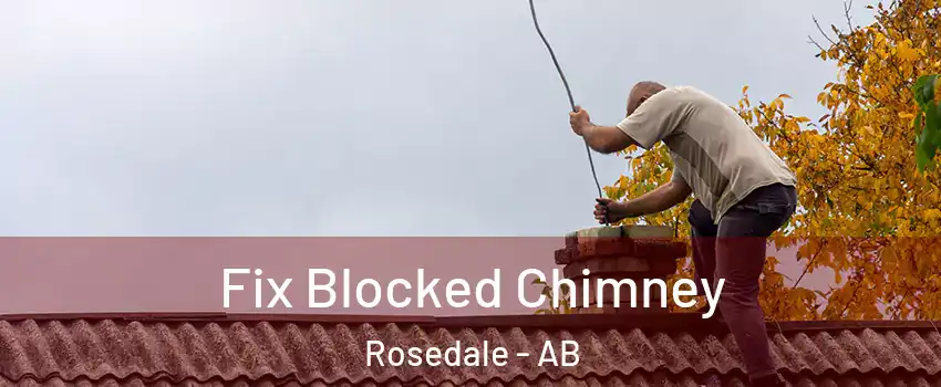 Fix Blocked Chimney Rosedale - AB