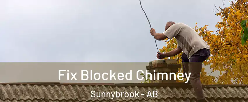 Fix Blocked Chimney Sunnybrook - AB