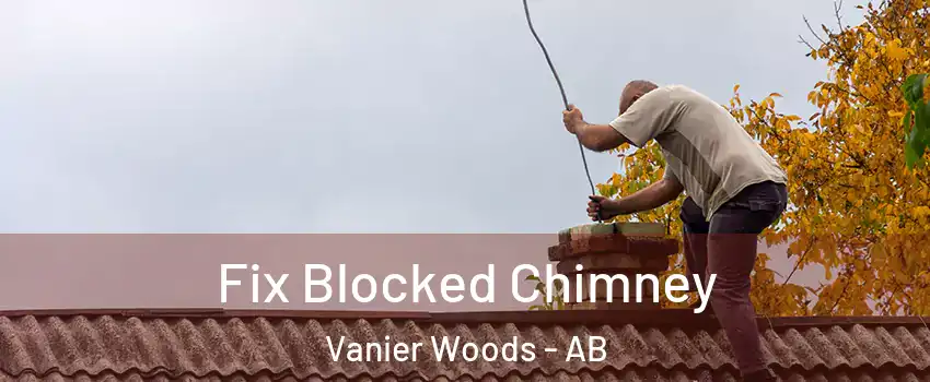 Fix Blocked Chimney Vanier Woods - AB