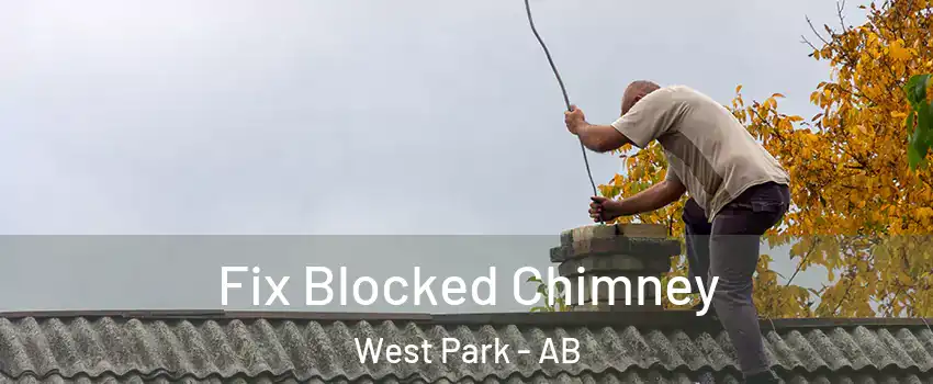 Fix Blocked Chimney West Park - AB