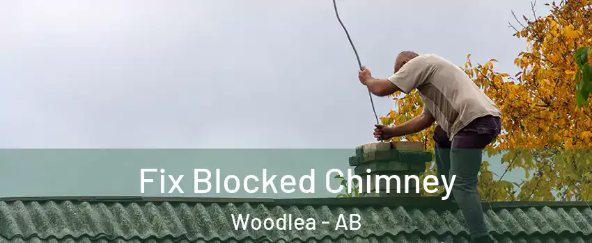  Fix Blocked Chimney Woodlea - AB