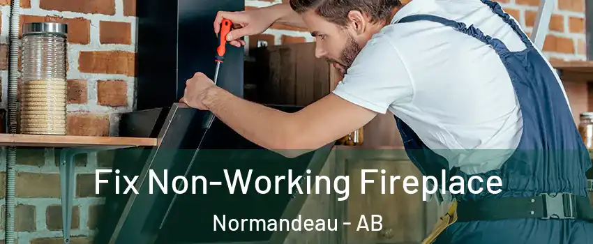 Fix Non-Working Fireplace Normandeau - AB