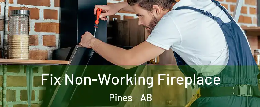  Fix Non-Working Fireplace Pines - AB