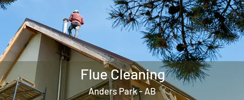 Flue Cleaning Anders Park - AB