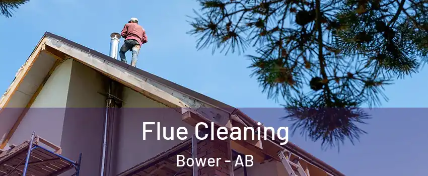 Flue Cleaning Bower - AB