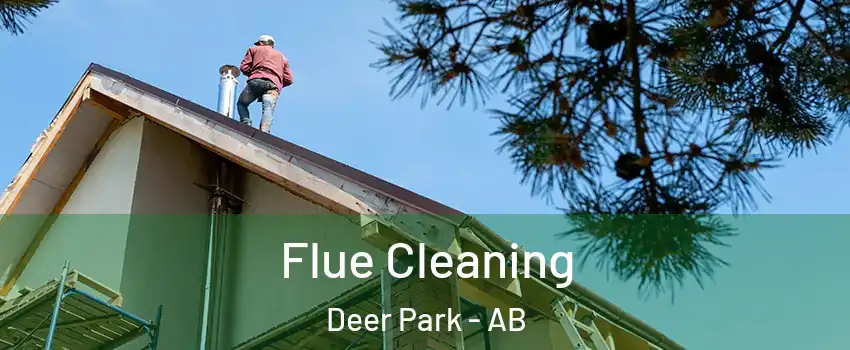 Flue Cleaning Deer Park - AB