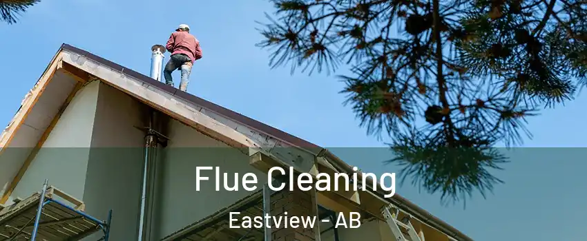 Flue Cleaning Eastview - AB