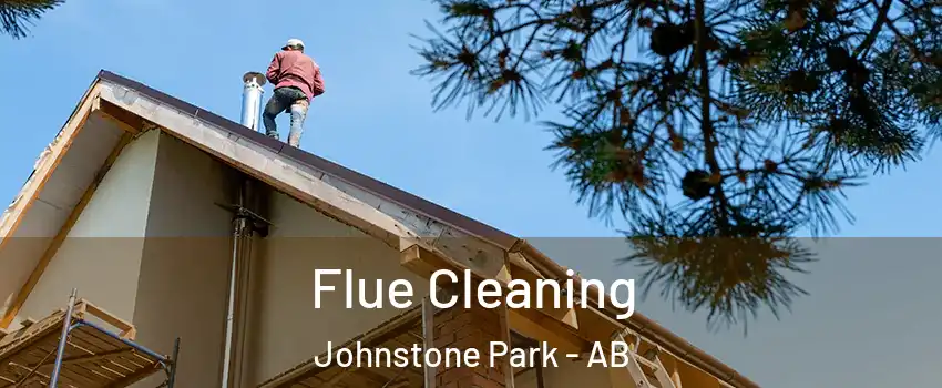 Flue Cleaning Johnstone Park - AB