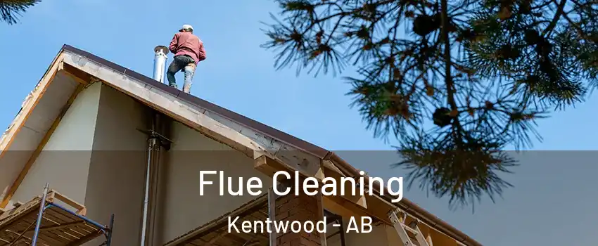  Flue Cleaning Kentwood - AB