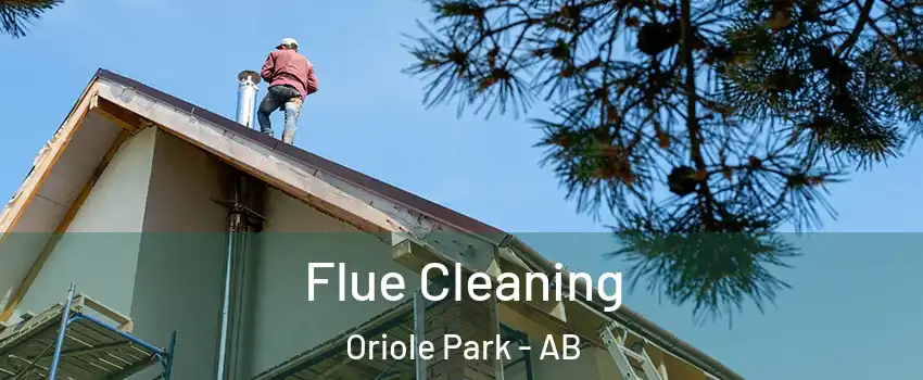 Flue Cleaning Oriole Park - AB