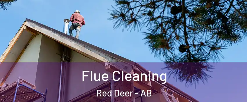 Flue Cleaning Red Deer - AB