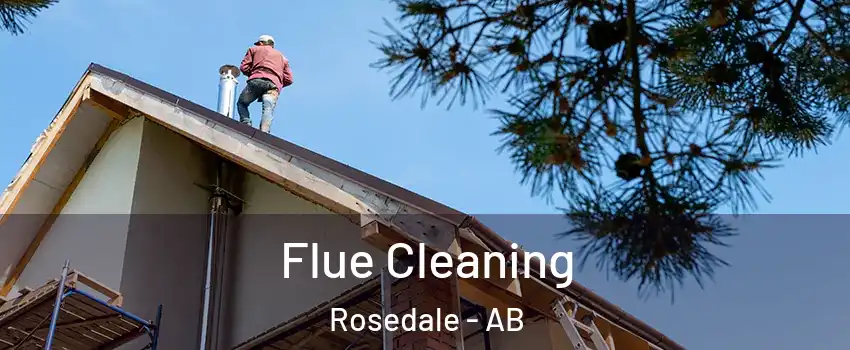 Flue Cleaning Rosedale - AB