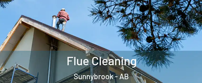 Flue Cleaning Sunnybrook - AB