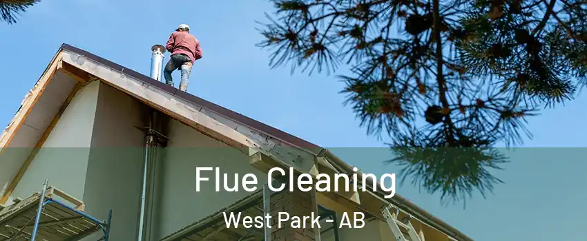 Flue Cleaning West Park - AB