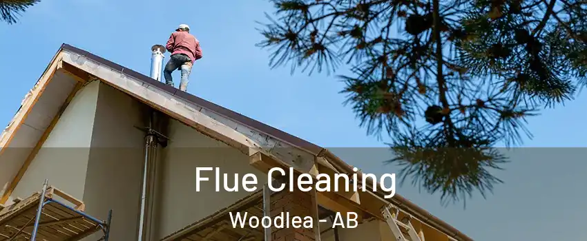  Flue Cleaning Woodlea - AB