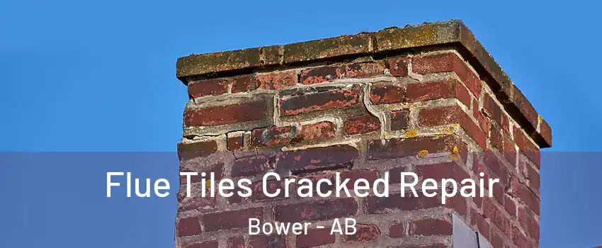  Flue Tiles Cracked Repair Bower - AB