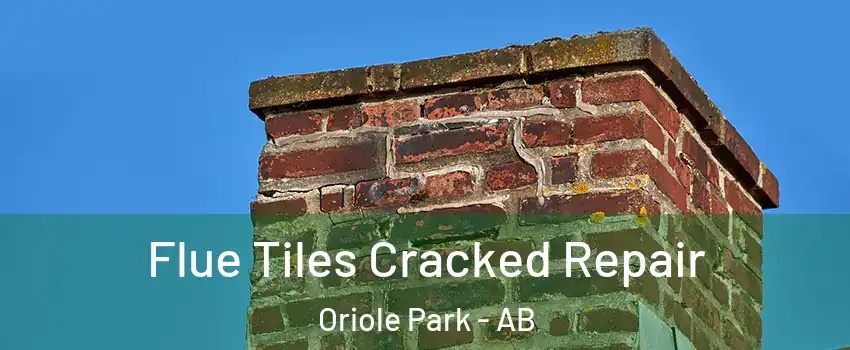 Flue Tiles Cracked Repair Oriole Park - AB