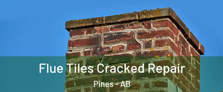 Flue Tiles Cracked Repair Pines - AB