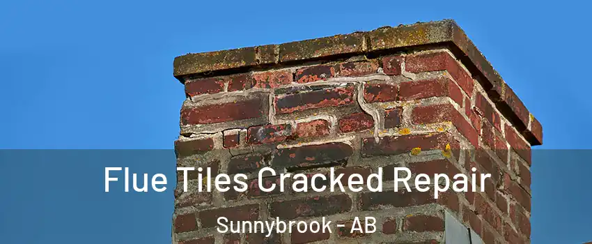 Flue Tiles Cracked Repair Sunnybrook - AB