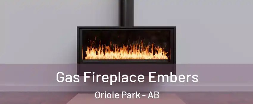 Gas Fireplace Embers Oriole Park - AB