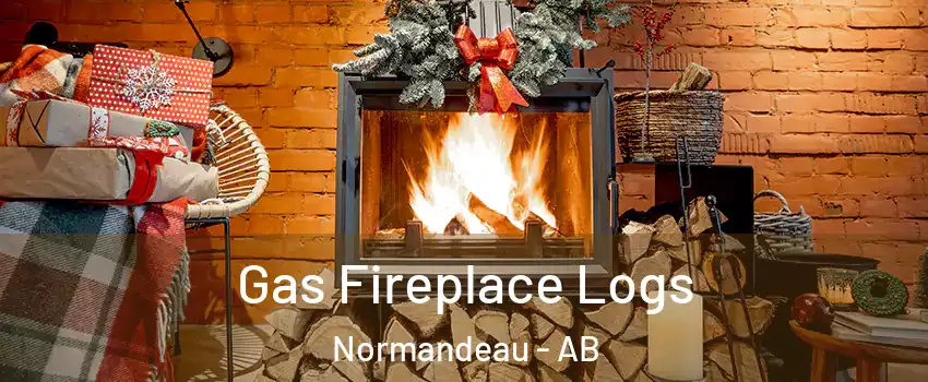 Gas Fireplace Logs Normandeau - AB