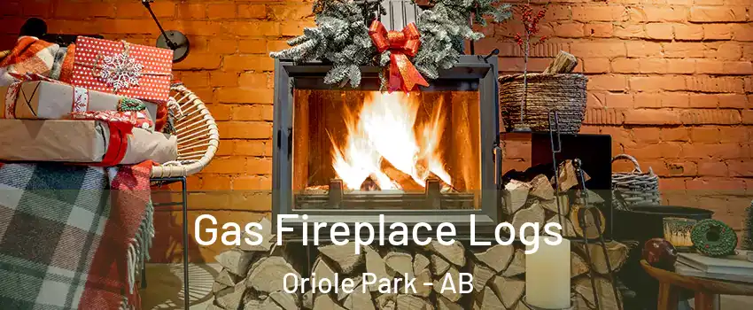 Gas Fireplace Logs Oriole Park - AB