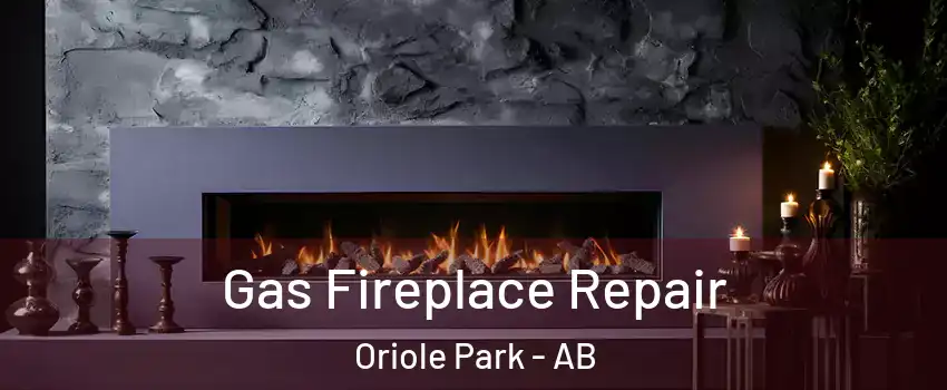 Gas Fireplace Repair Oriole Park - AB
