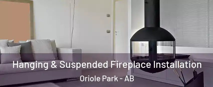 Hanging & Suspended Fireplace Installation Oriole Park - AB
